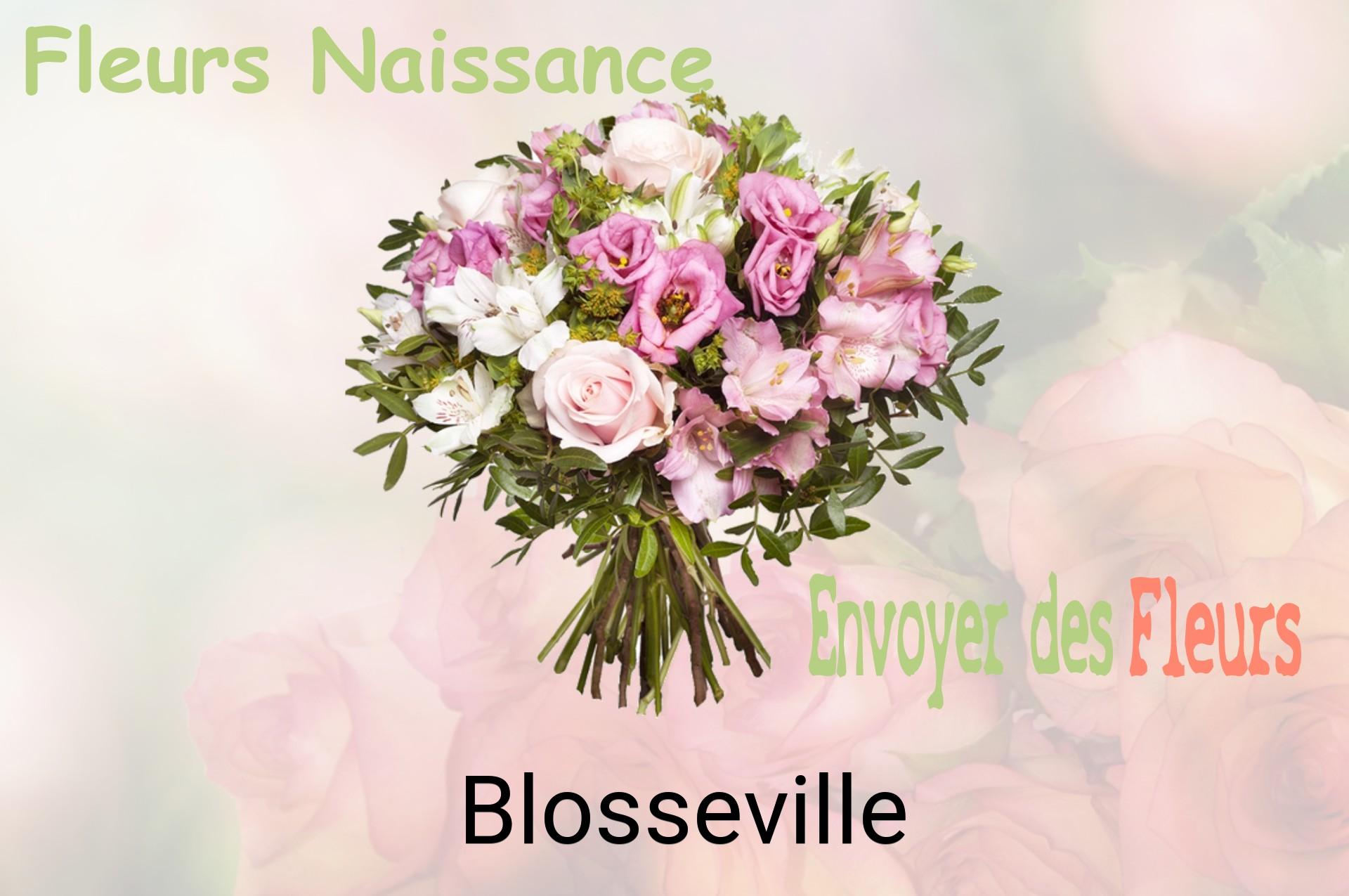Bouquet de fleurs de naissance livré à Blosseville